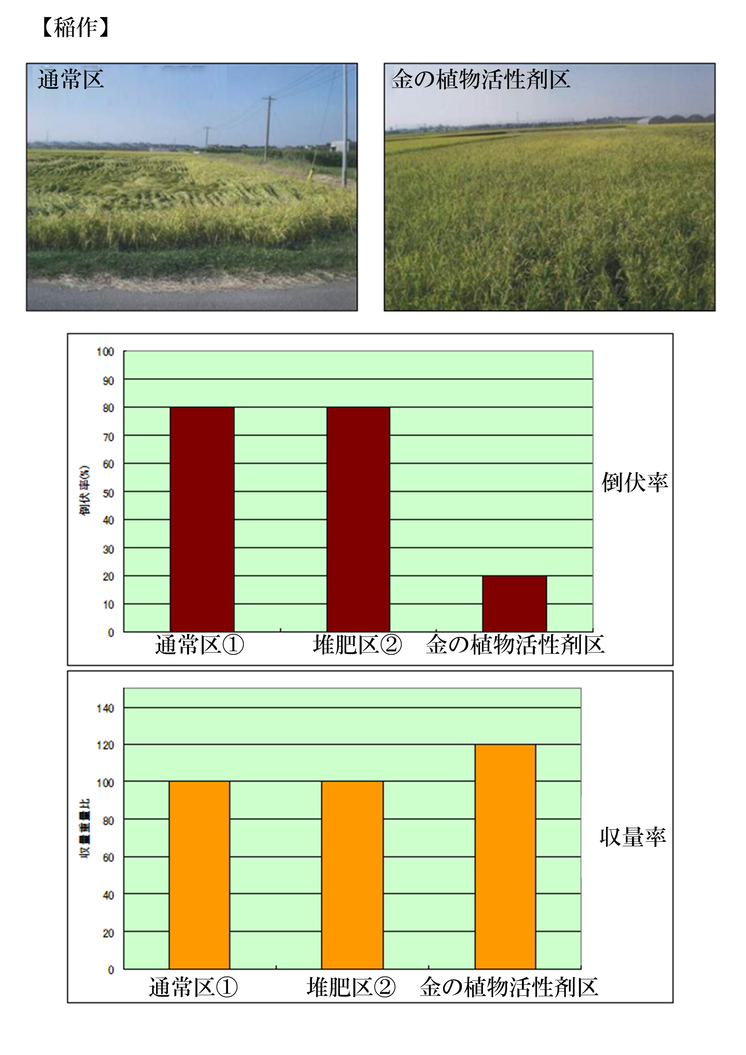 宮崎県都城市:きらら農場高木(畑作)
