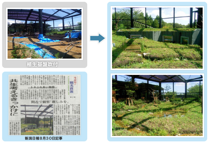 新潟県:佐渡「トキふれあいセンター」