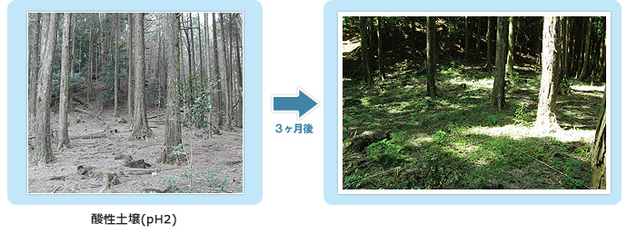 沖縄県:塩川エリア