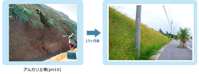 沖縄県:塩川エリア