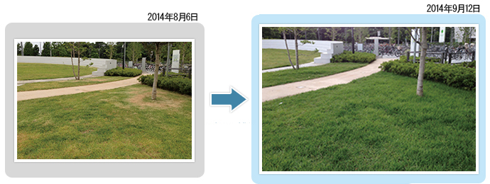 三井住友不動産:柏の葉キャンパス