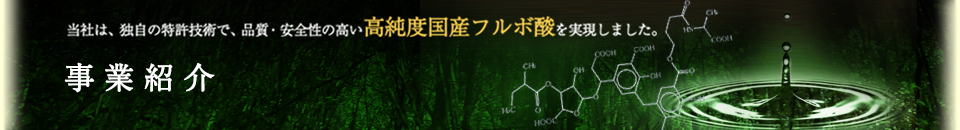 事業紹介
