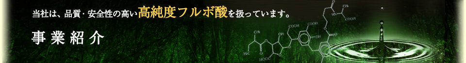 事業紹介