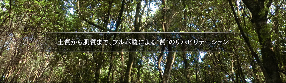 お問い合わせ・プライバシーポリシー