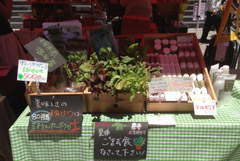 恵比寿マルシェ3